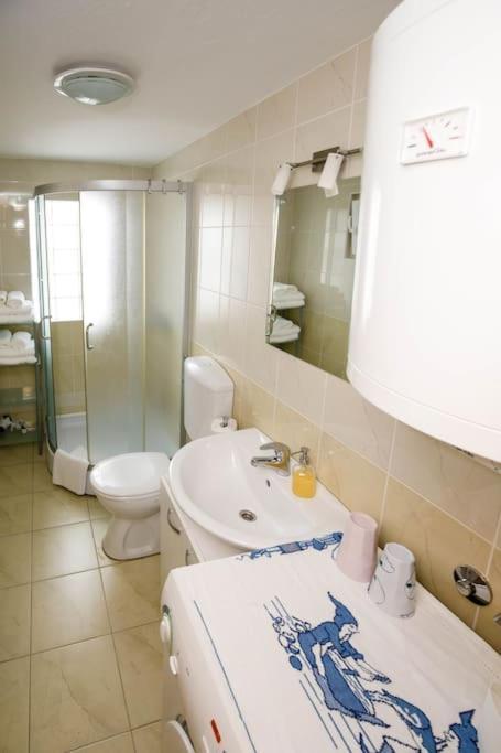 Apartment Old Town - Bambo Knin Exterior photo